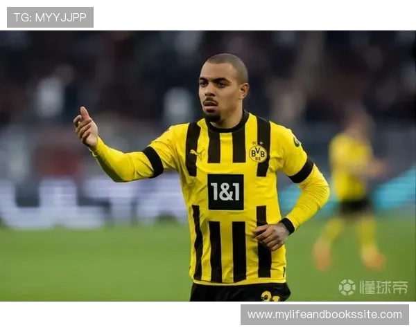 马伦在多特表现