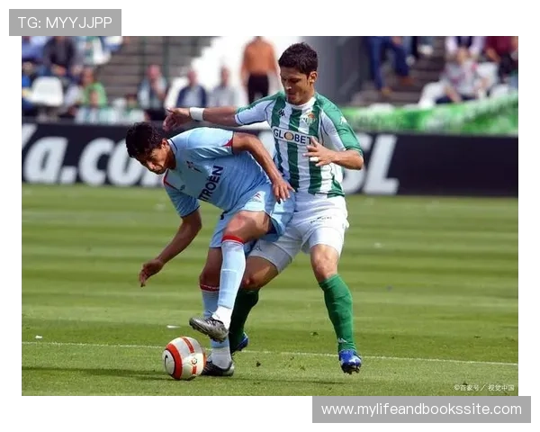 塞尔塔数据分析